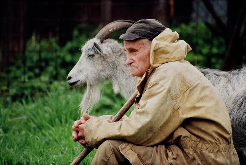 Философыphoto preview