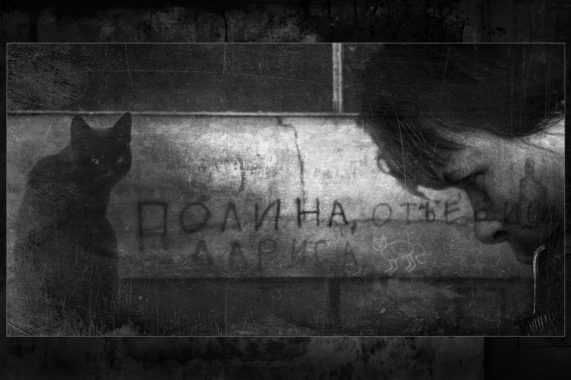 Белый котphoto preview