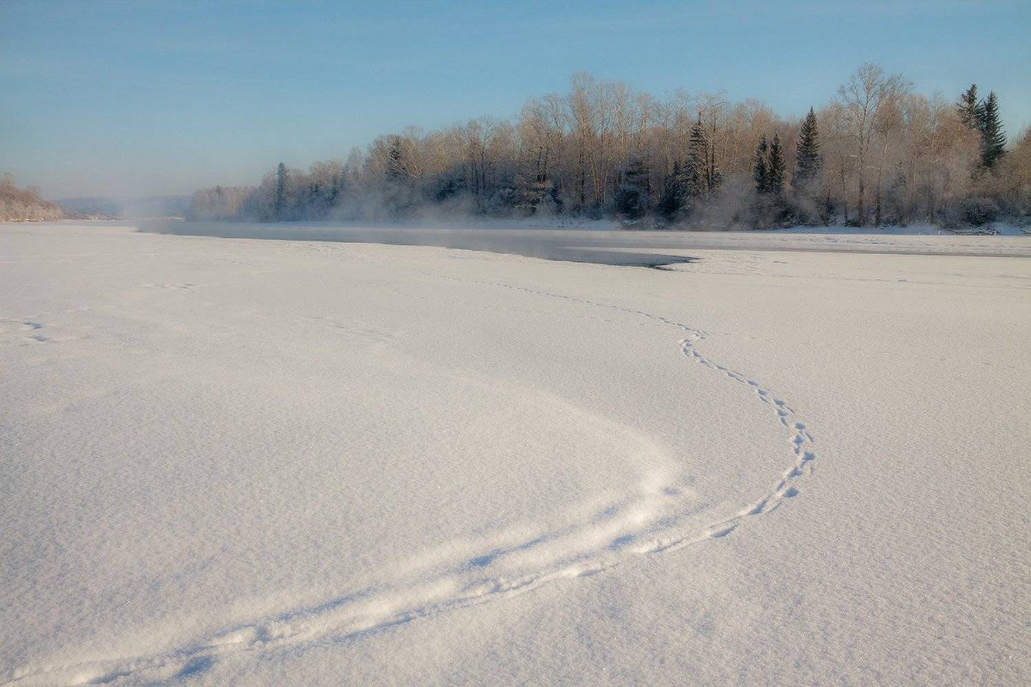 , Николай Морский