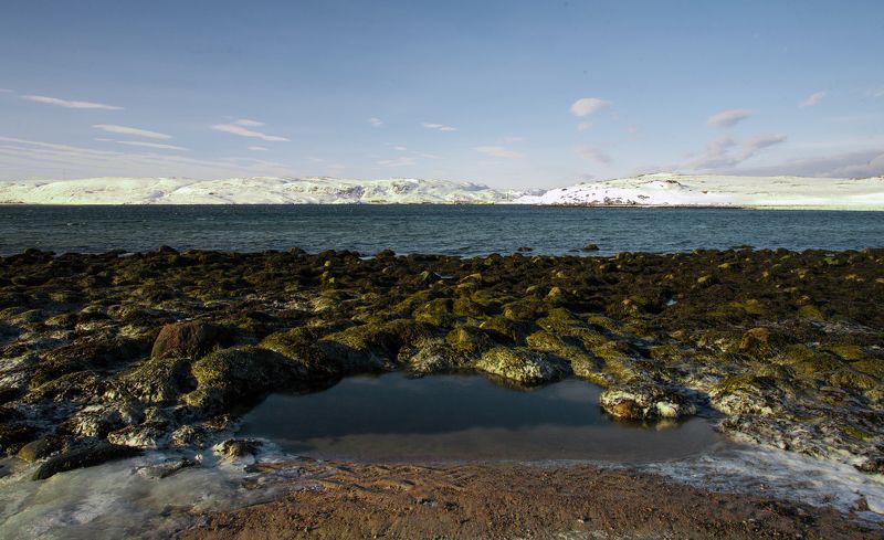 север море Водорослиphoto preview