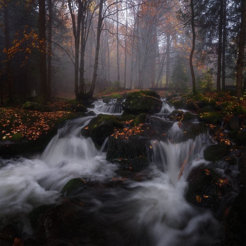 Бистришка река / Bistrishka Riverphoto preview