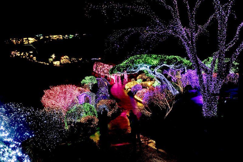 Light Light Lightphoto preview