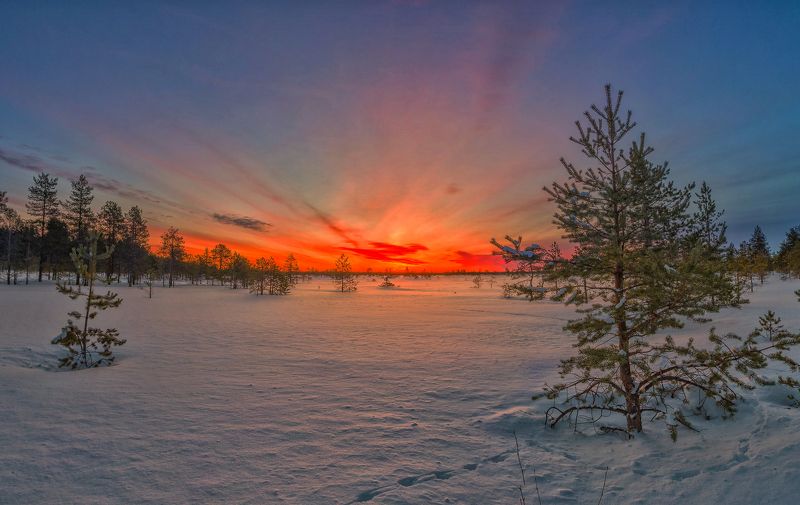 Рассветphoto preview