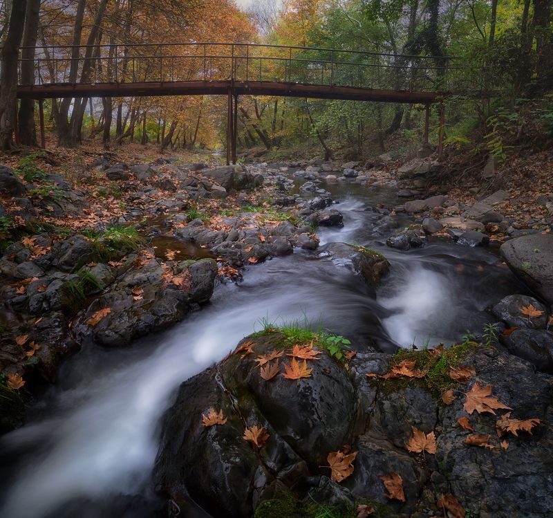 Есенphoto preview