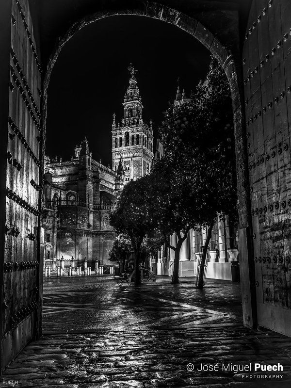 © José Miguel Puechphoto preview