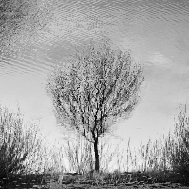 отражение Отражениеphoto preview