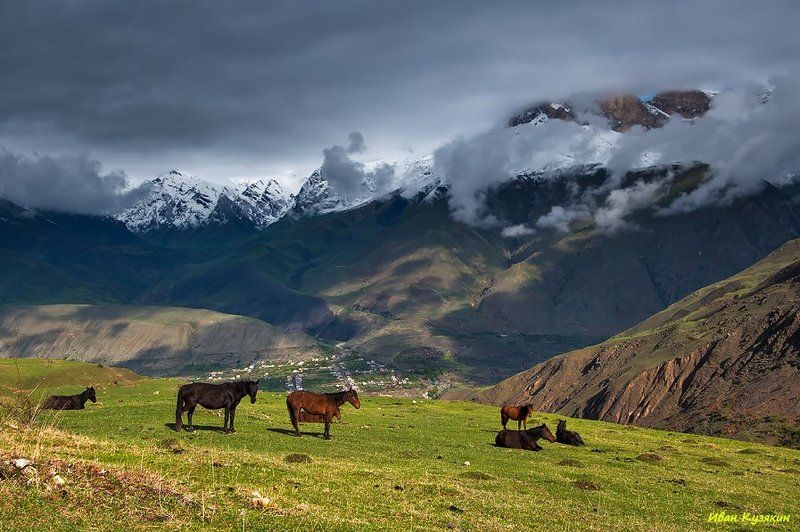 Скалистый хребет Верхняя Балкария Безенги Каракая Мыхтенген Мехтыген Соухауз цветы поход фототур фото горы Кавказ Солнечная лужайкаphoto preview