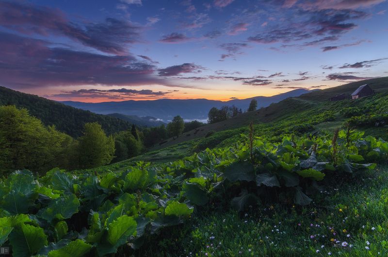 горы, закат, карпаты, полонина, менчул, лопухи, колыба, печка, пастухи В гостях у пастуховphoto preview