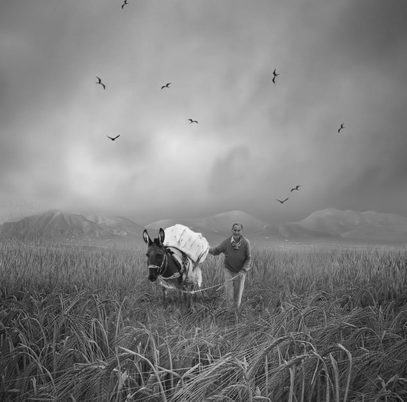 #man #sky #old_man #bnw #fine_art #deck #rock #mehrzad_photo #hossein_mehrzad The Revenantphoto preview