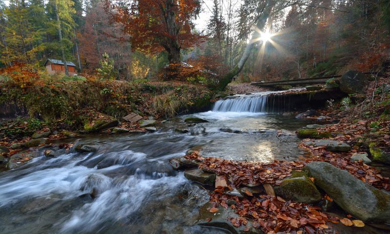 карпаты, боржава, шипот photo preview