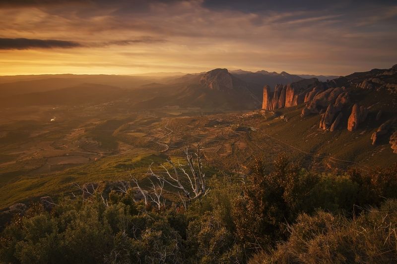 Los Mallosphoto preview