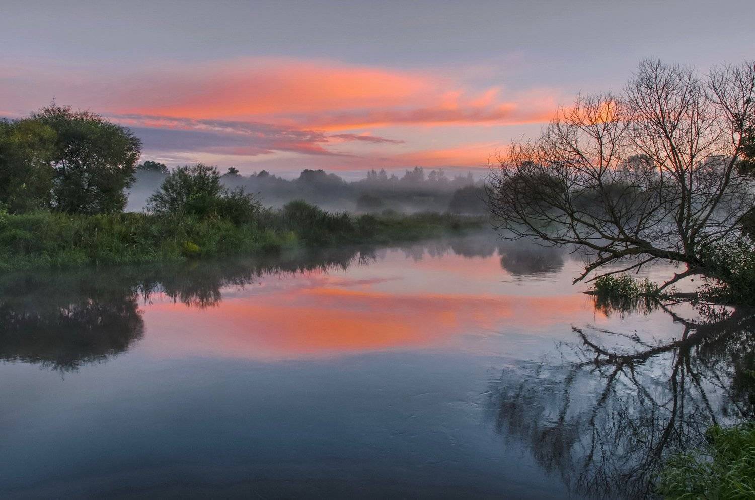 утро, туман, природа, речка, Александр Гвоздь