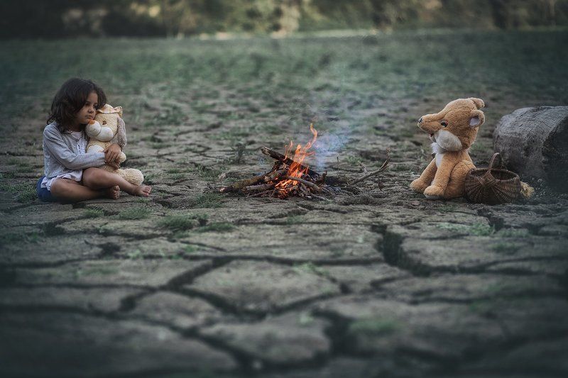 in the wildphoto preview