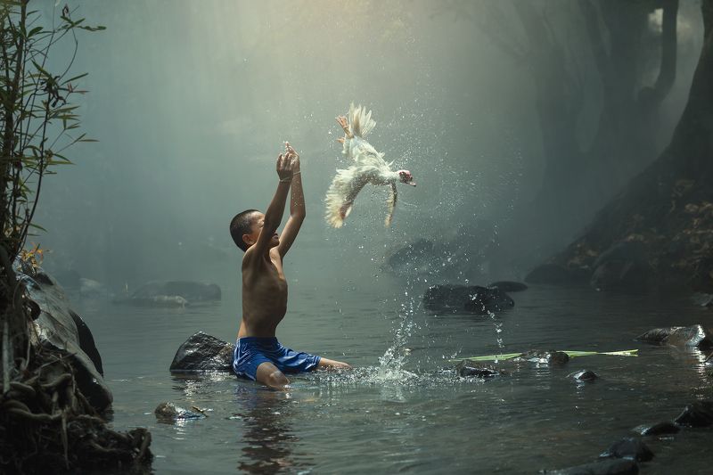 portrait,thai,people,animal,boy,child,nature, Independencephoto preview