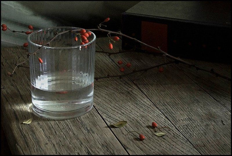 С книгойphoto preview