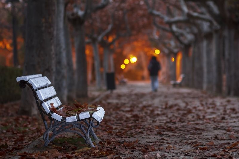 The shadowphoto preview