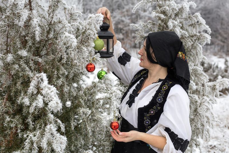 Traditionphoto preview