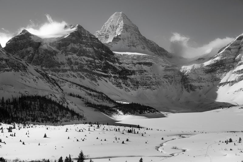 ХОЛОДНОЕ ВЕЛИЧИЕphoto preview