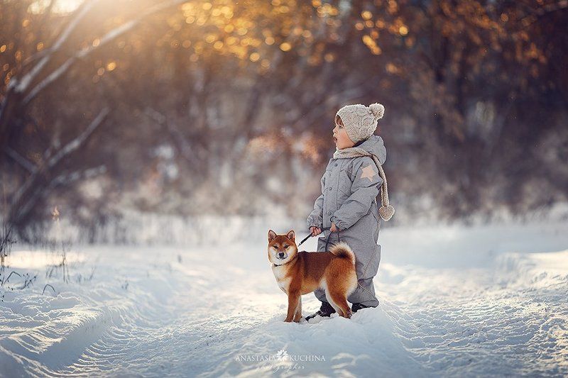 Друзьяphoto preview