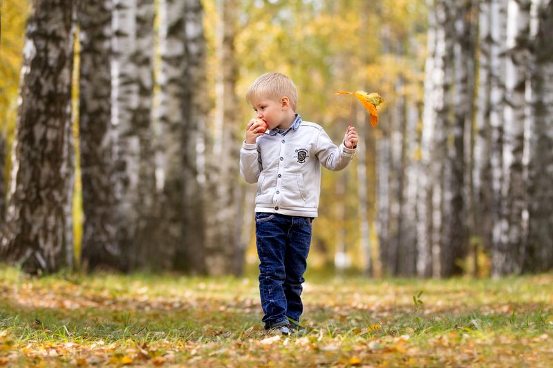 осень, дети, лес Осеннее настроениеphoto preview