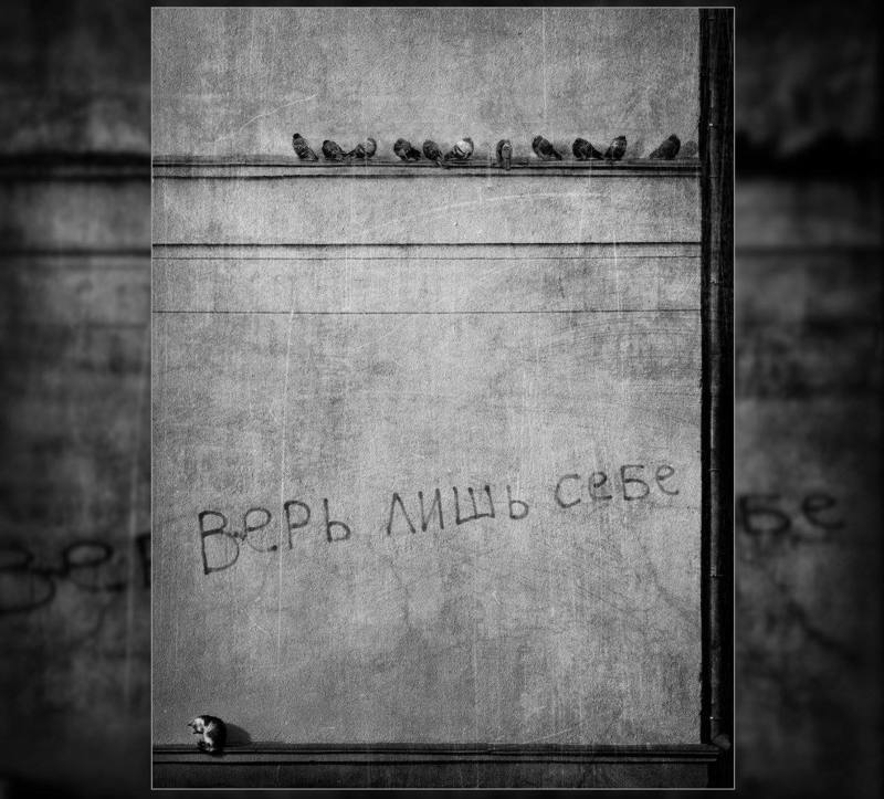 Верь лишь себеphoto preview