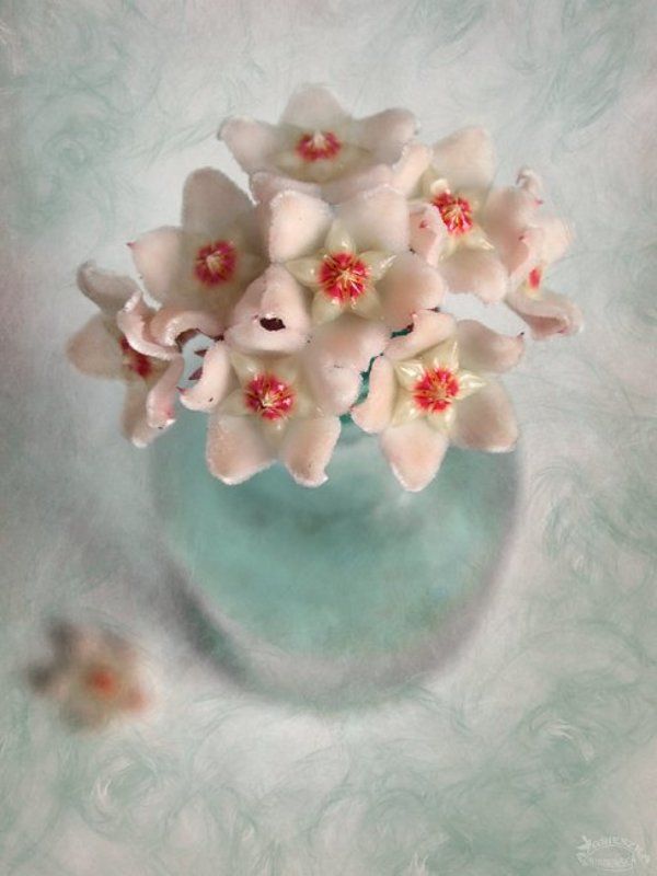 Bukiet zimowyphoto preview