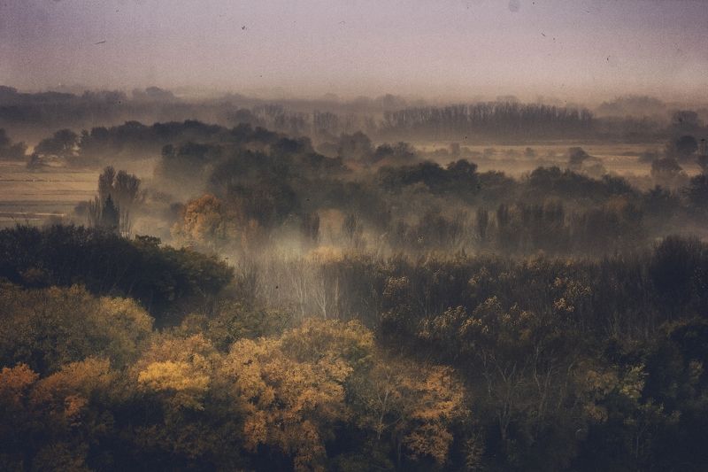 Grey dayphoto preview