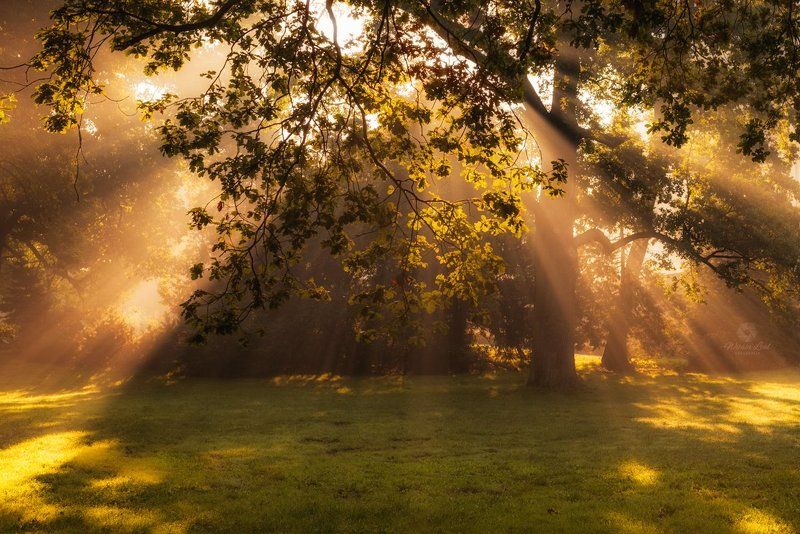 sun bathphoto preview