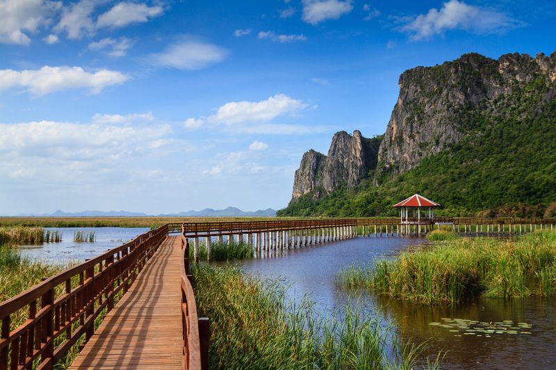 background, beautiful, beauty, blue, bridge, clouds, environment, forest, green, growth, lake, landscape, leaf, life, light, national, natural, nature, outdoor, park, pattern, plant, relax, river, scene, sky, summer, sunny, thai, thailand, traditional, t Lake and hillphoto preview