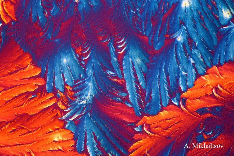 микрокристаллы гибберелловая кислота Сказочный микролесphoto preview