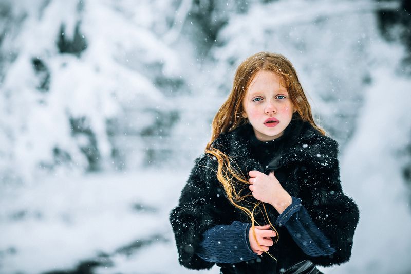 Синяя бородаphoto preview