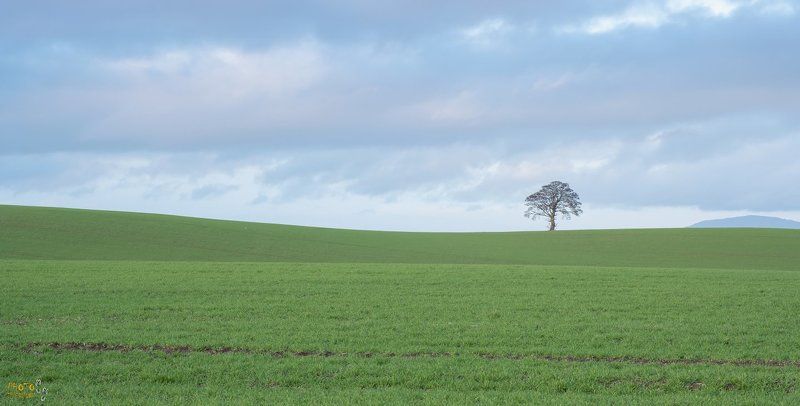 ирландия, фототур, закат  Кому заставку на десктоп?photo preview