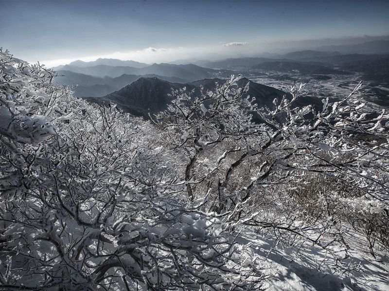 curtian of snow flakesphoto preview