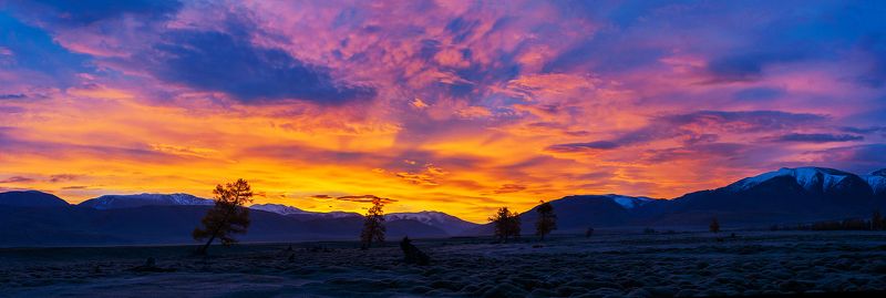 утро, рассвет, облака, осень, курайская степь, долина чуи, горный алтай Pro красочный рассвет в Курайской степи…photo preview