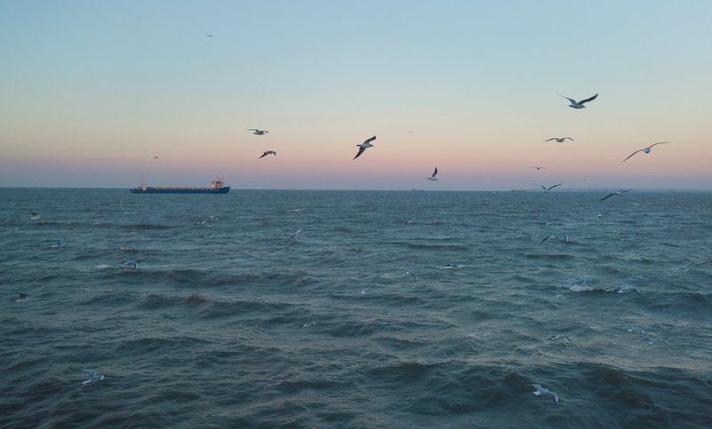 крым, море, горы, свет, закат, рассвет, природа, осень Пейзаж с чайкамиphoto preview