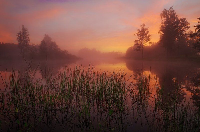 morning, sunrise, mist, lake, reflections, summer Morning secretsphoto preview