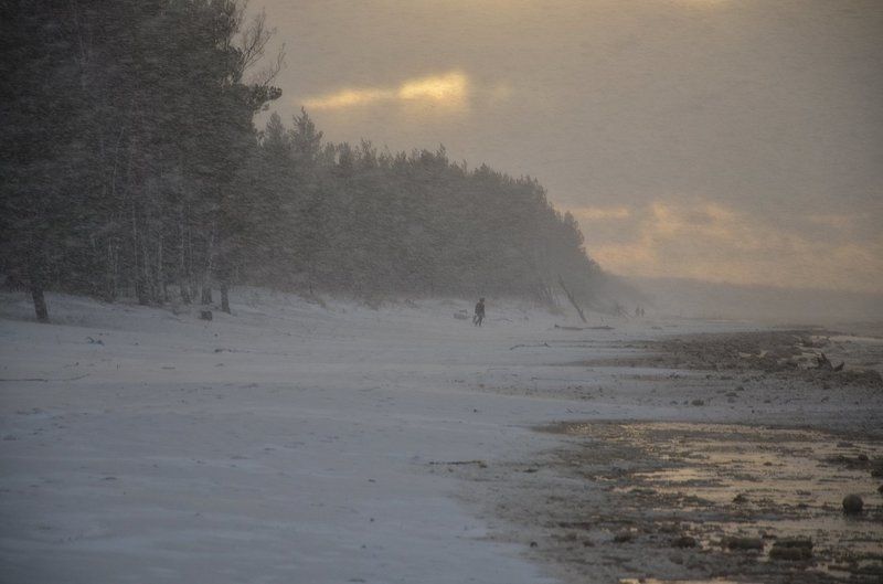 Ветер с моря дул (2)photo preview