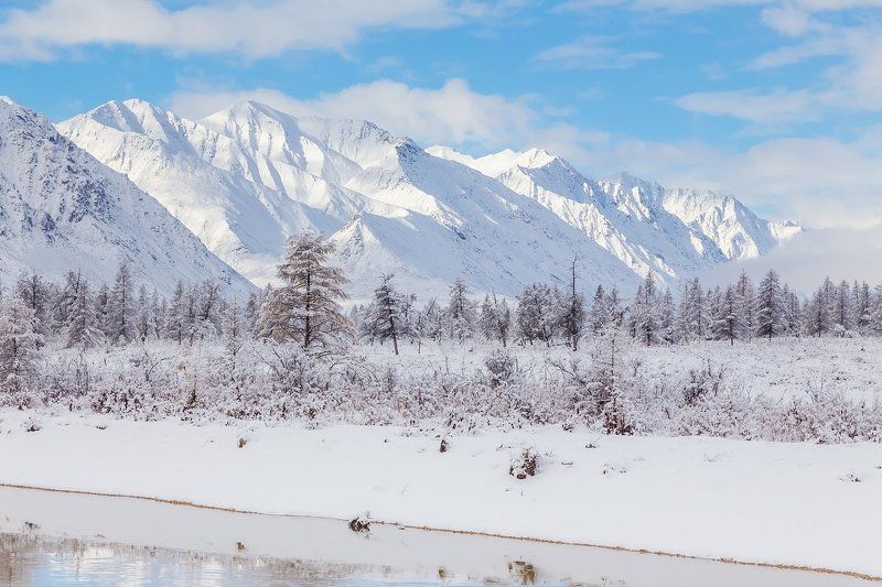 якутия, хребет черского, сентябрь, горы, север, крайний север, первый снег, осень, лиственницы Нежданный снегphoto preview