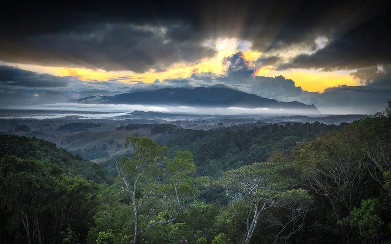 Landscape, kapturlight, Michael Petersen, photographer, North Queensland photographer Mt Bartle Frere photo preview
