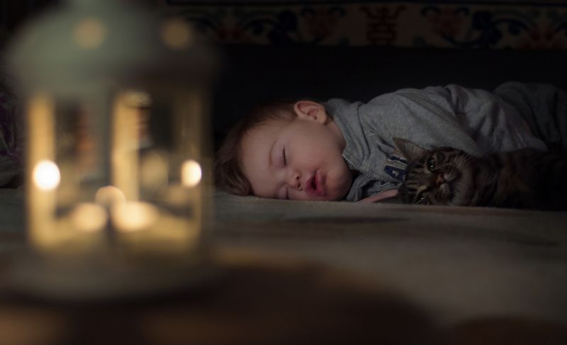 ребенок, мылыш, кот, детство, cat, children, childhood, baby Охранник снаphoto preview