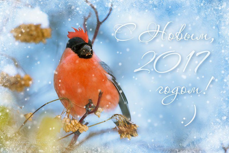 С новым годом!photo preview