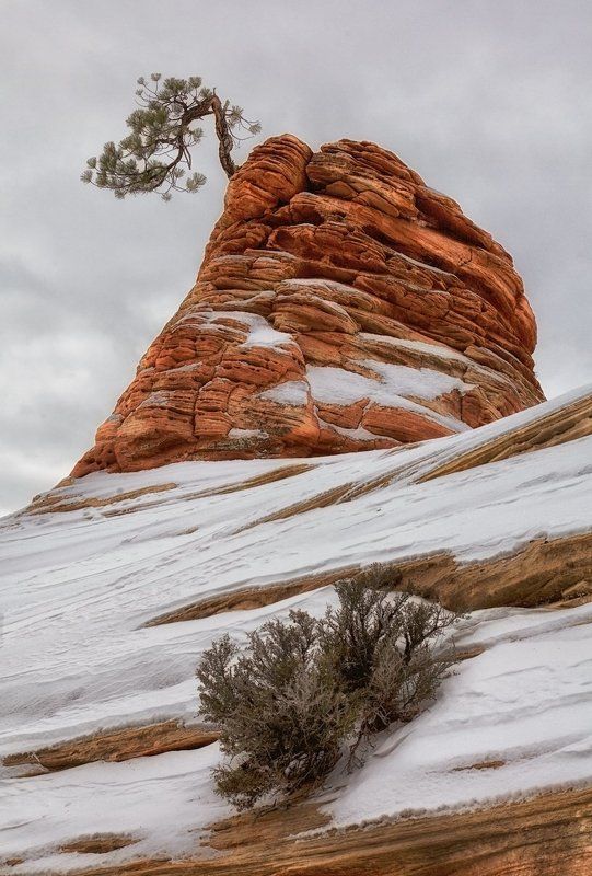 Новогодняя..photo preview