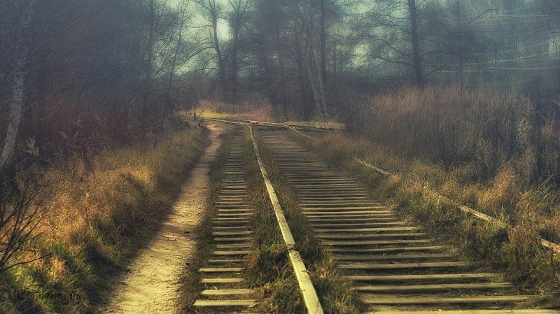 way,road,nature,autumn ron pathphoto preview