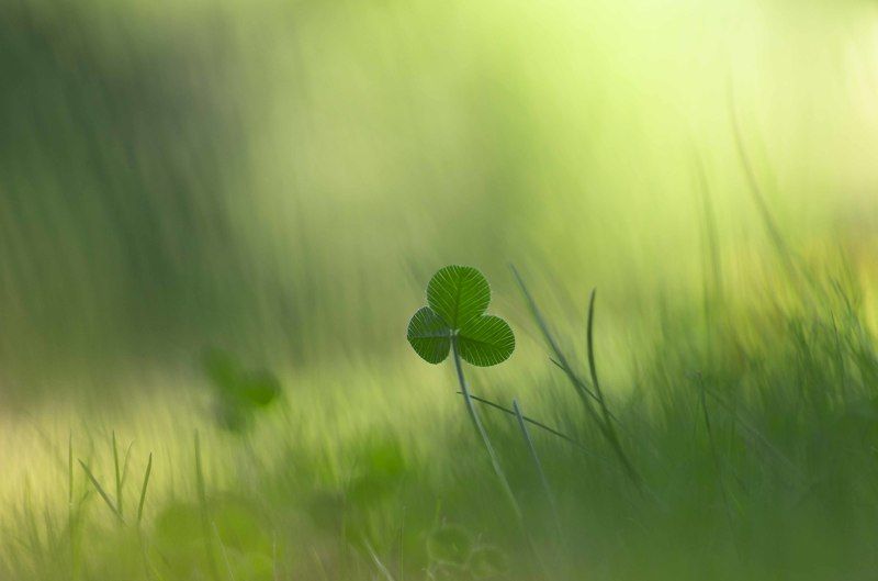 Ирландские мотивыphoto preview