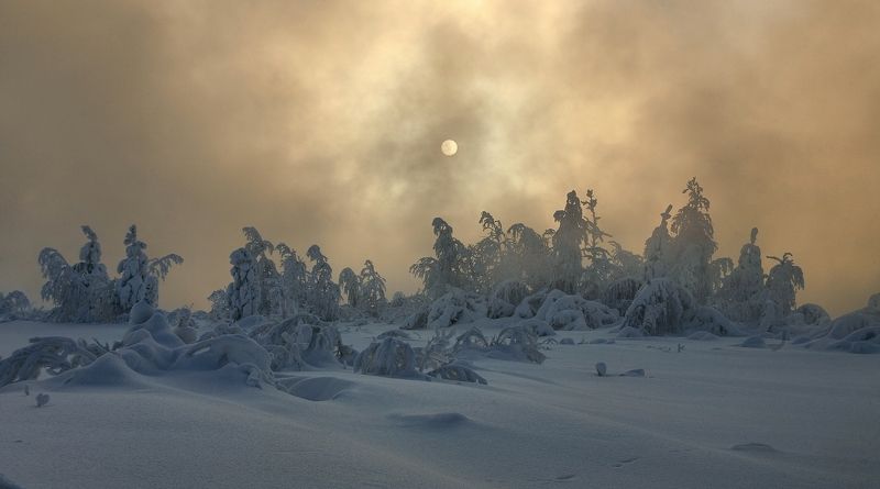 новый, год, 2017 С наступающим Новым Годом!photo preview