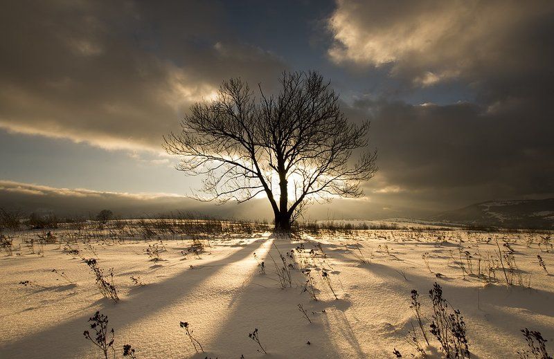 landscape, nature, poland, mountains, clouds, sky, light, sunset, winter, snow gold Golden hour.photo preview