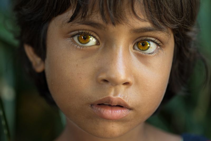 Beautiful Eyesphoto preview