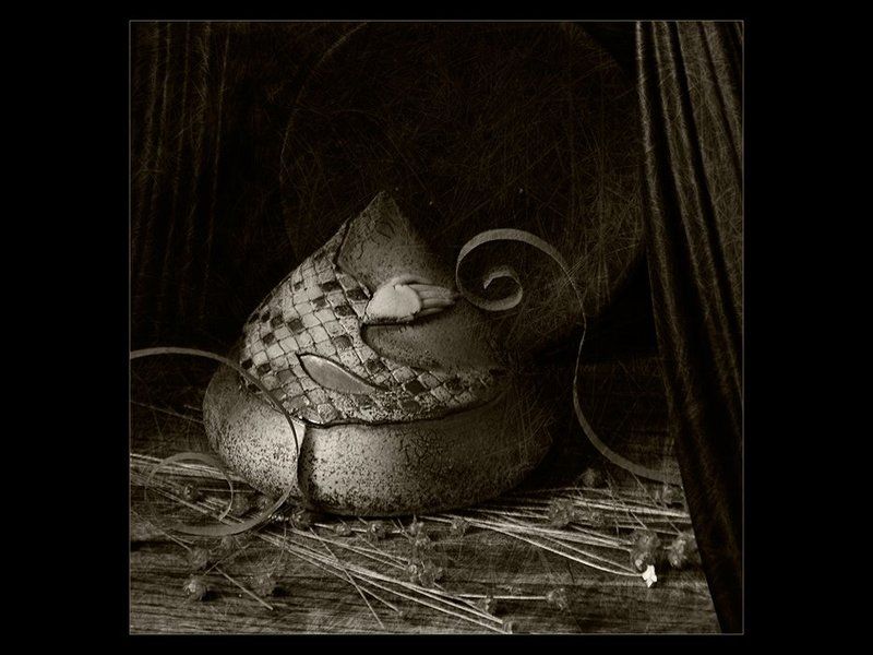 Гербарийphoto preview