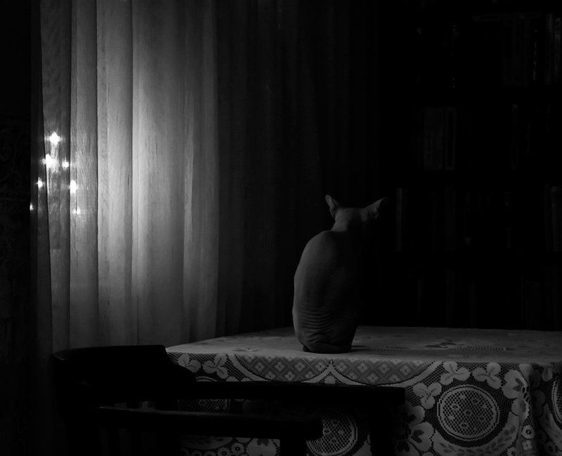 Первое января. Вечер...photo preview