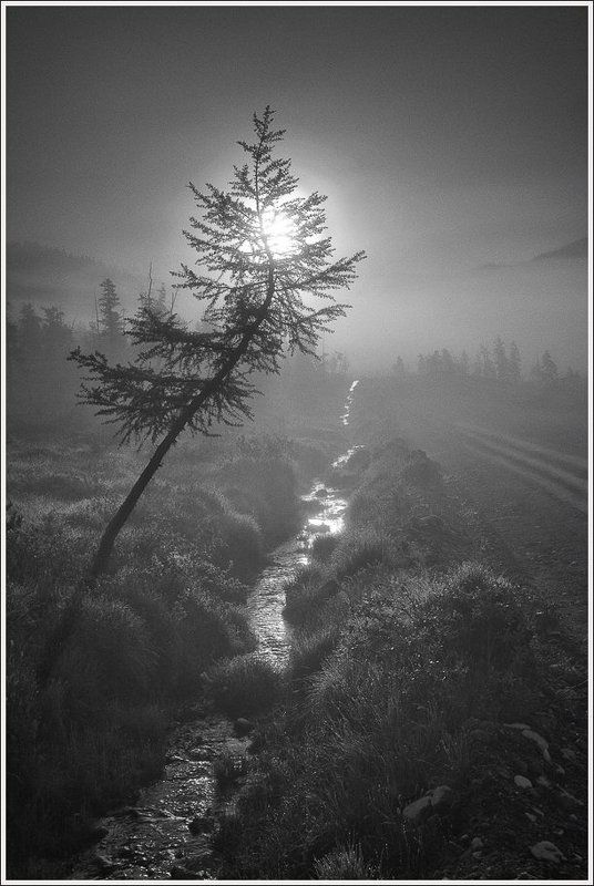 Саянское утро.photo preview